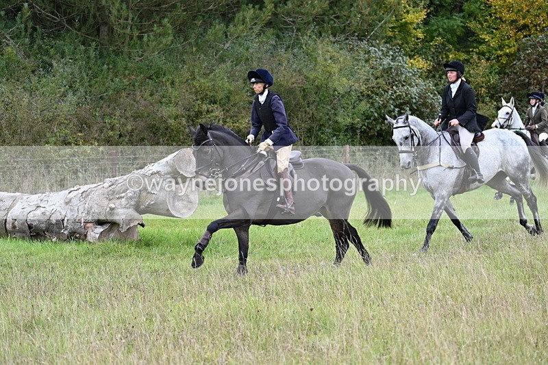 WJ7_3811 - Camera 1 Line 1