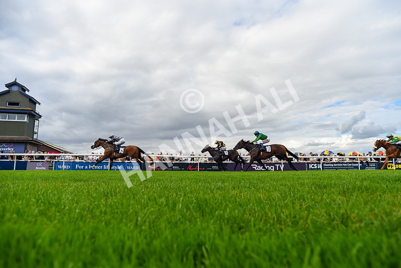 300826-Race 5-Harb-6951 - Race 5 3.55pm Constant Security Handicap