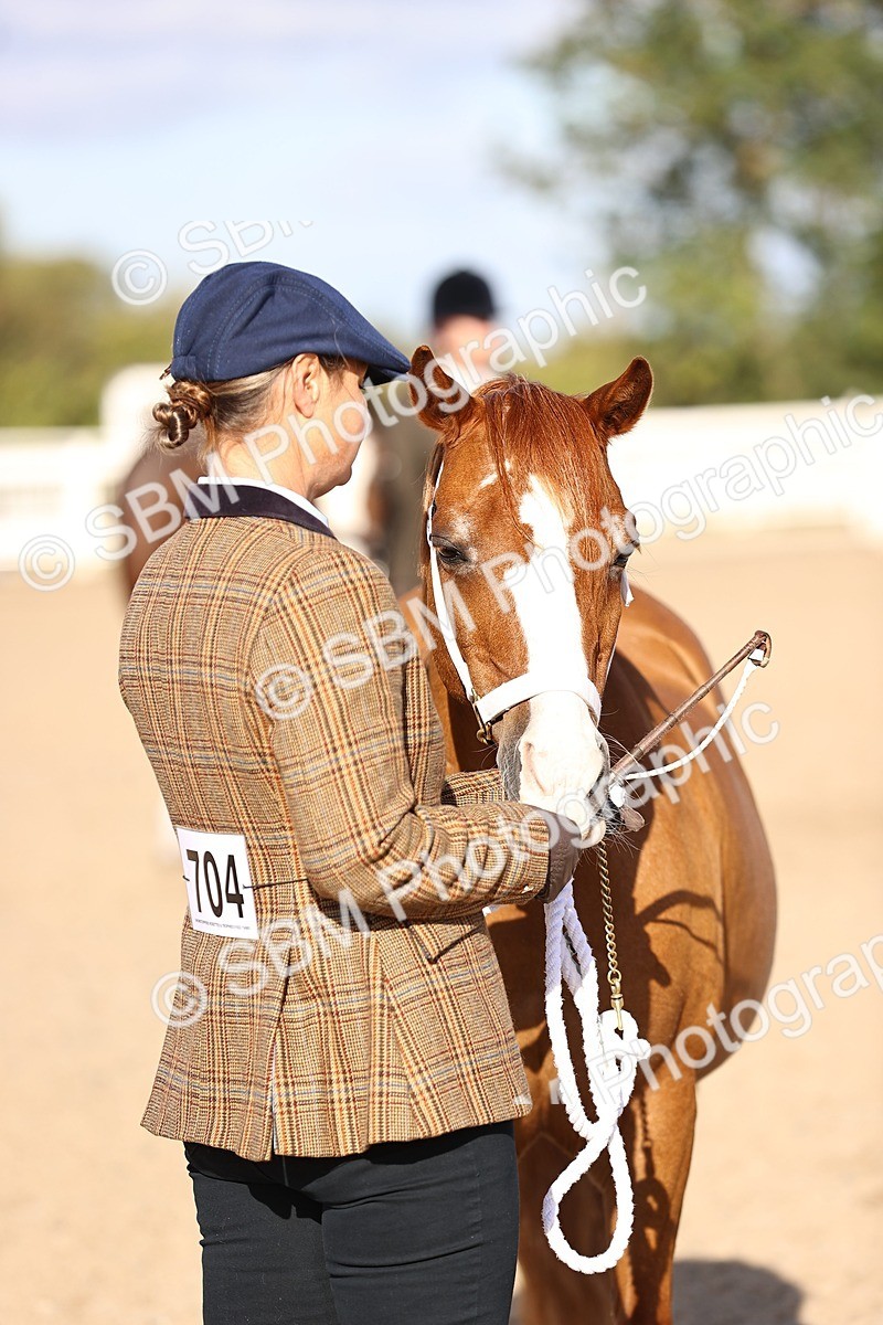 SBM_08499 - Class 402 - IH Veteran Pony