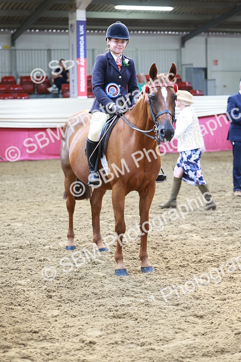 SBM_11995 - Class 102 - Equitation (Best Rider) Adult
