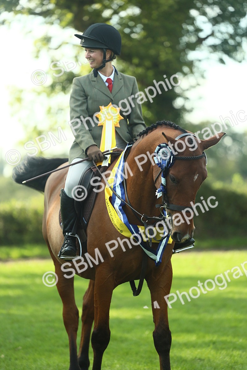 SBM_52325 - Working Hunter Supreme Championship