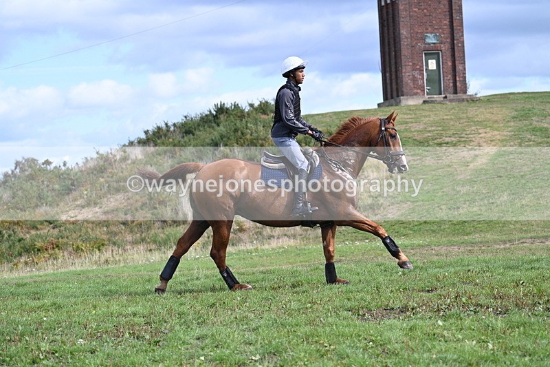 WJ7_1420 - Time 12:34 to 13:16