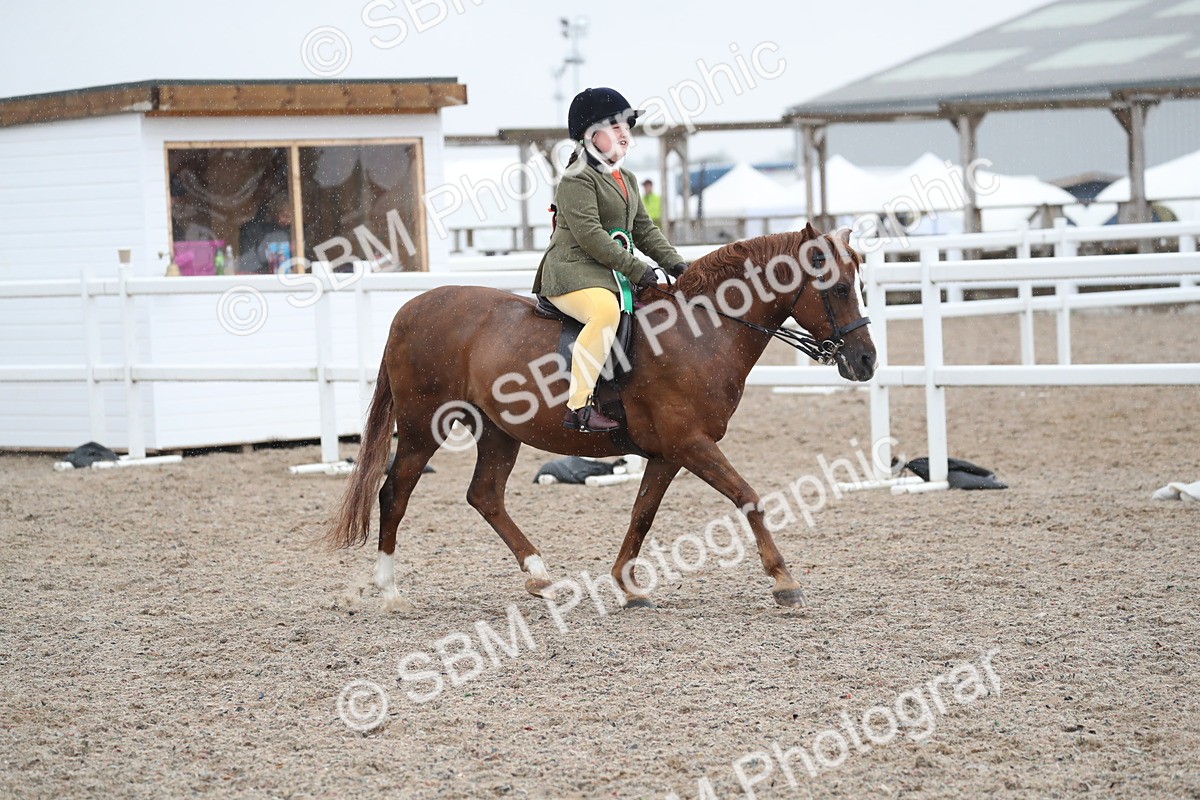SBM_20534 - Class 601 - 2025 Area - Ridden Diamond