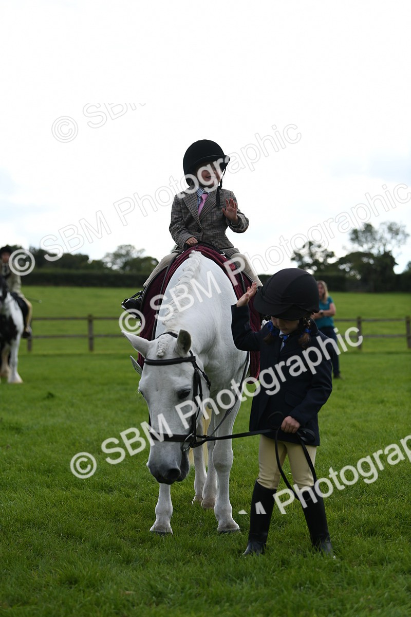 SBM_47206 - S12 - Family Horse & Pony