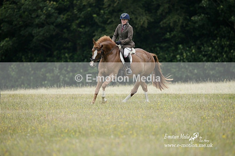 BVRC 030721 9 - Bourne Valley Riding Club Dressage 03/07/21