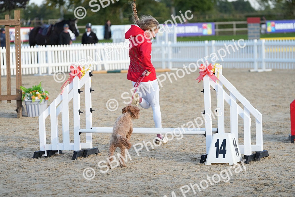 SBM_29491 - J44 - Horse & Hound Open 70cm