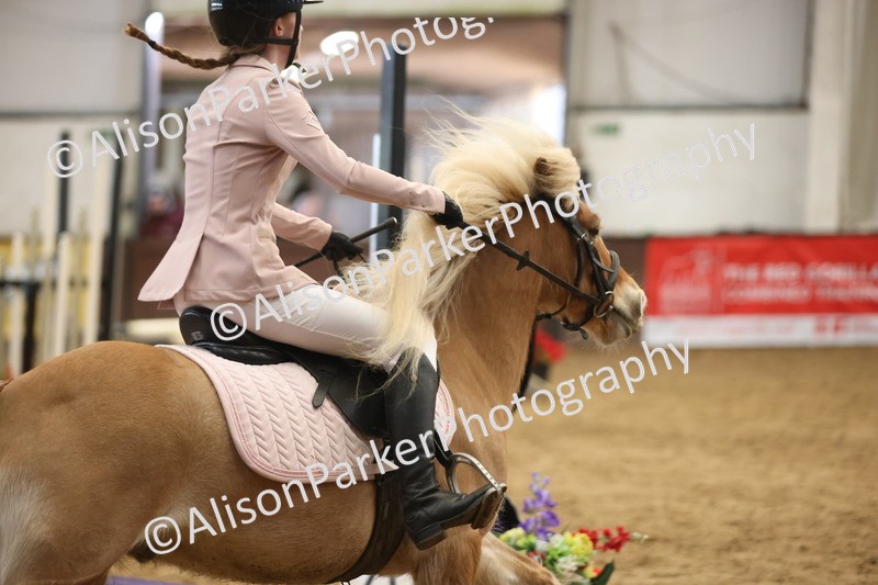 20260314-0809 - 60cm