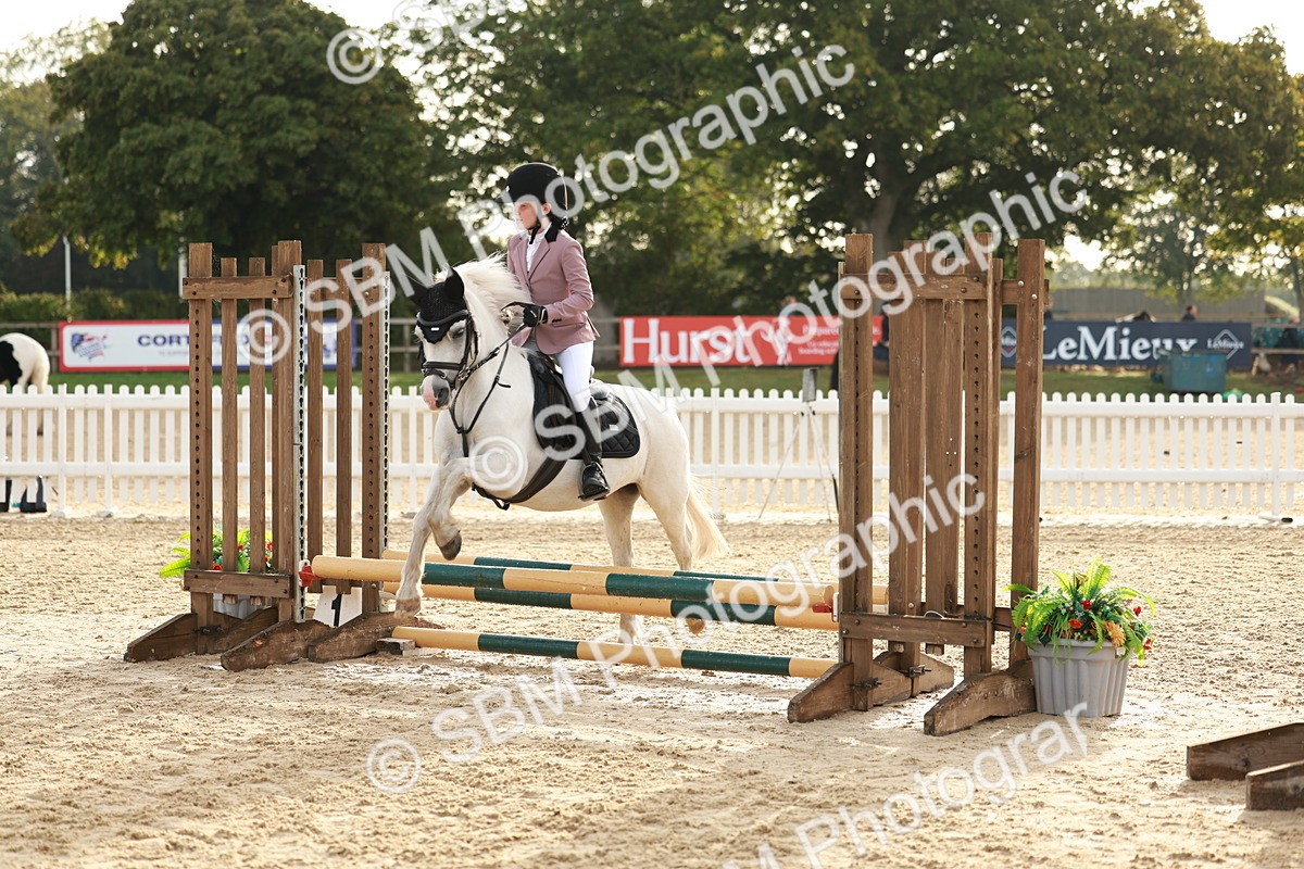 SBM_55550 - J11 - Junior Pony 50cm Championship