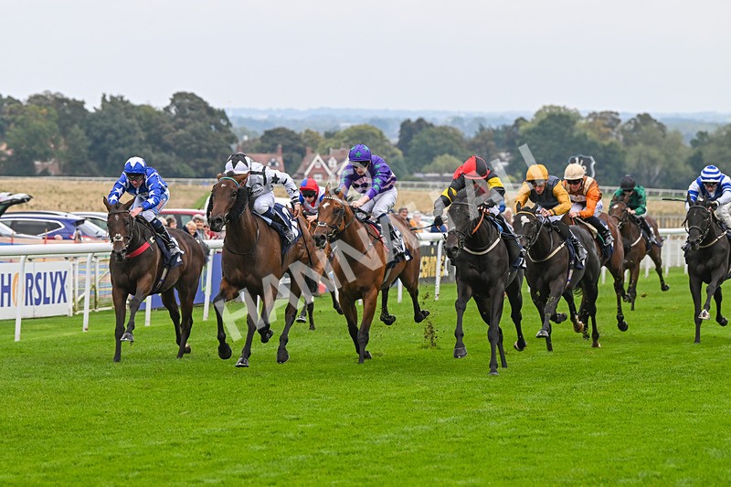 240924-Race 3-Nala Star-6091 - Race 3