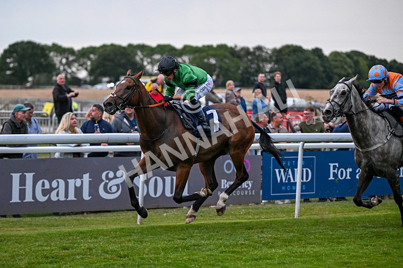 030726-Race 6-The Sweet Escape-2478 - Race 6 20.40pm Churchill Tyres Handicap