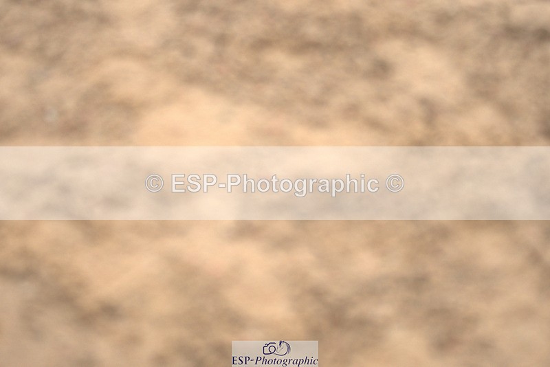 240317A-104054-04951 - Cls 25 Snr 1.20m Open