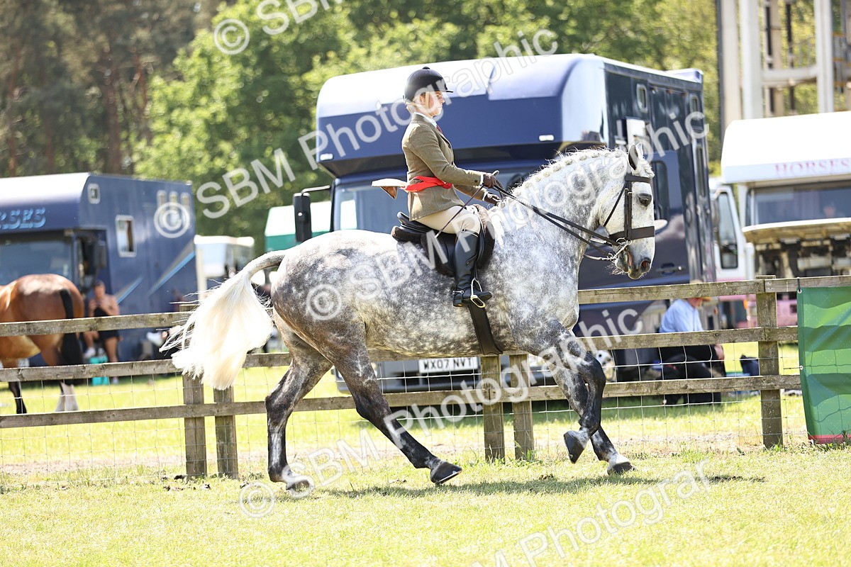 SBM_16191 - Class 79-80 - LIHS BSHA Rising Star Ridden Hunter