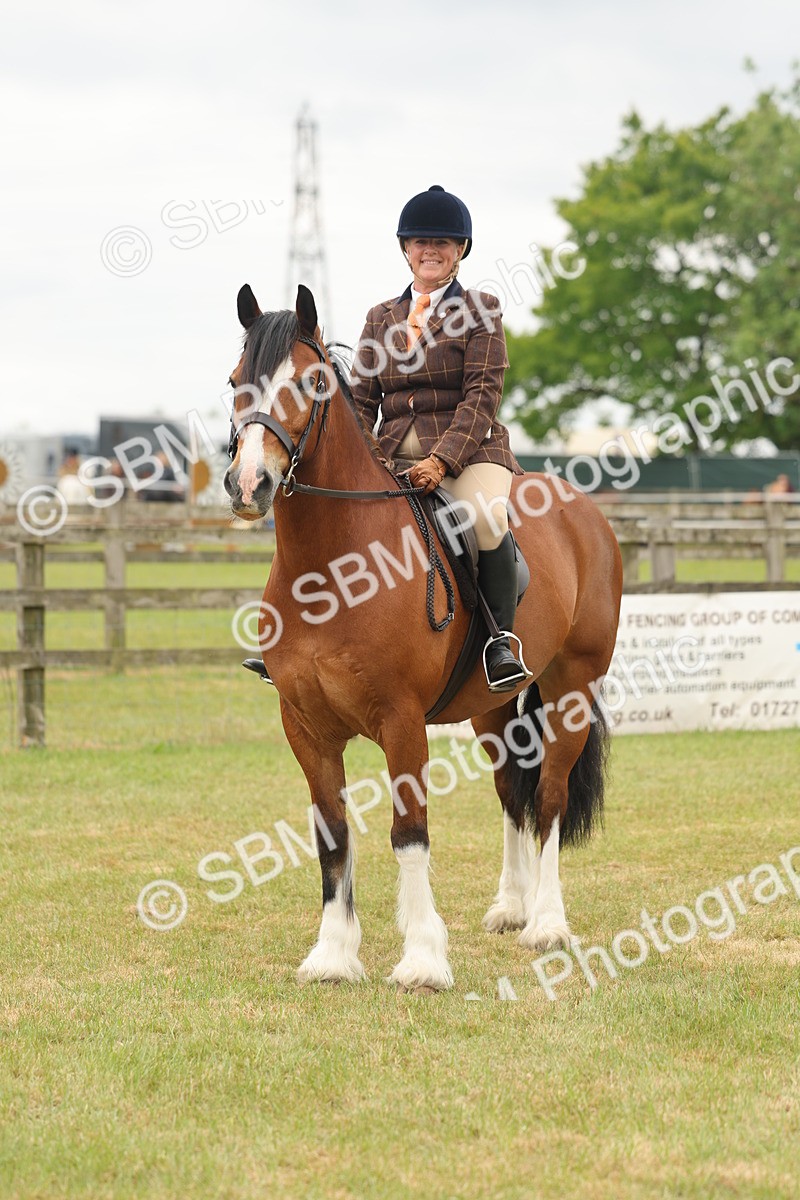SBM_07242 - Class 76-77 - Ridden M&M Welsh Ponies