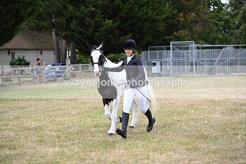 WJ6_4260 - Class 10 Coloured In-hand