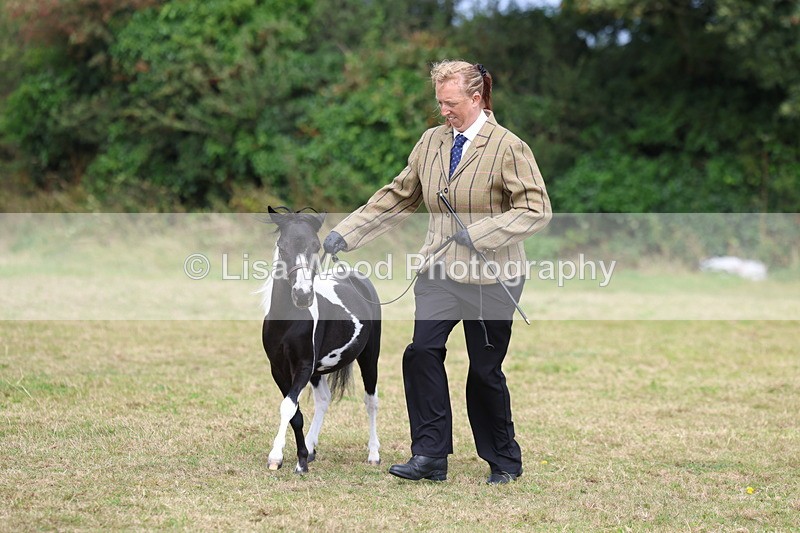 3E7A5418 - Class 19: Best Coloured in Hand