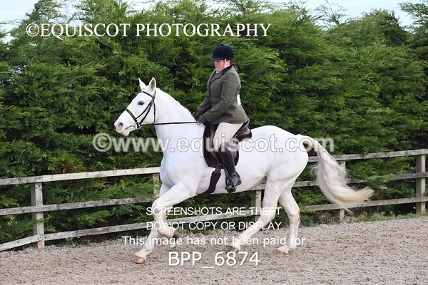 BPP_6874 - RING 1  (RIDDEN HORSES / IN HAND / VETERAN ETC)