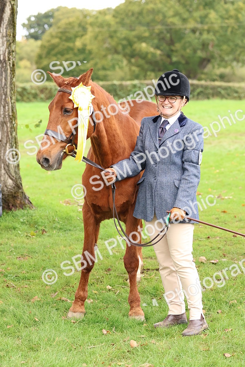 SBM_41755 - S26 - Mature Veteran In Hand