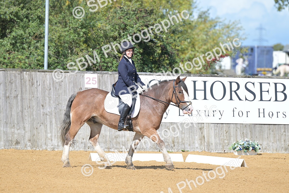 SBM_03891 - D2 - Small Tour Championship Intro 2