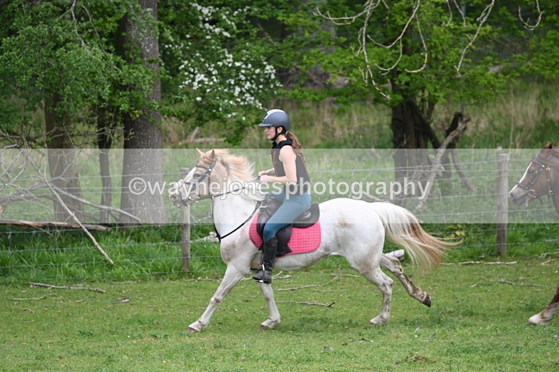 WJ6_3366 - A camera