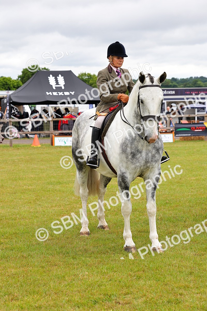 SBM_02555 - Class 9-11 Side Saddle including LIHS Rising Star Ladies Show Horse