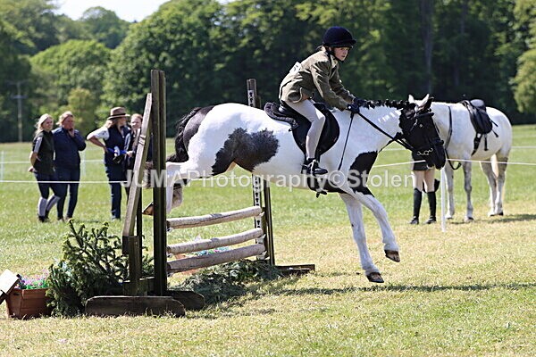 IMG_3805 - Working Hunter