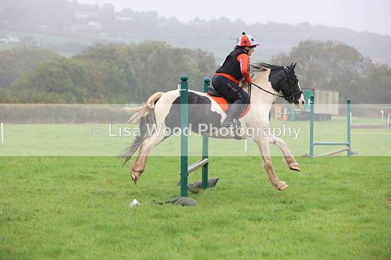 JPP_5137 - Class 1: 65cm : Showjumping