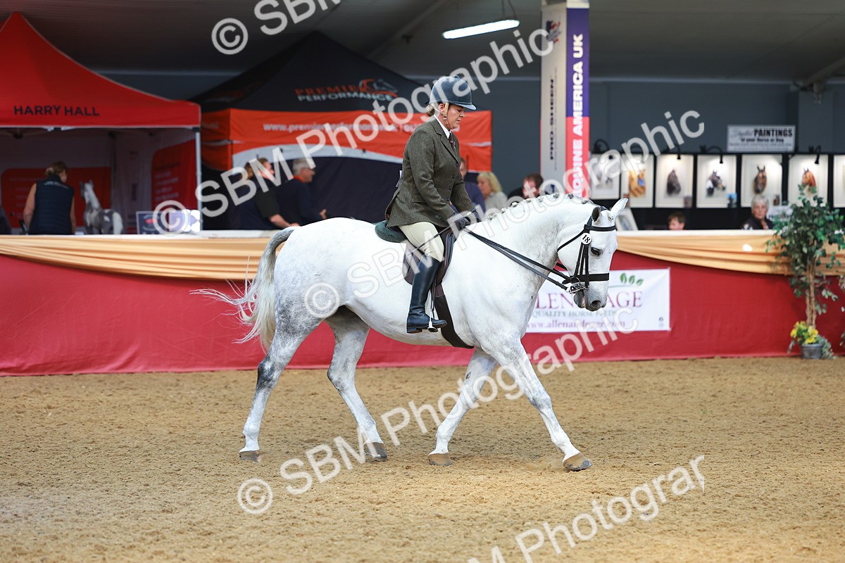 SBM_10612 - Class 103 - HOYS Veteran Qualifier - Ridden Pre Vet