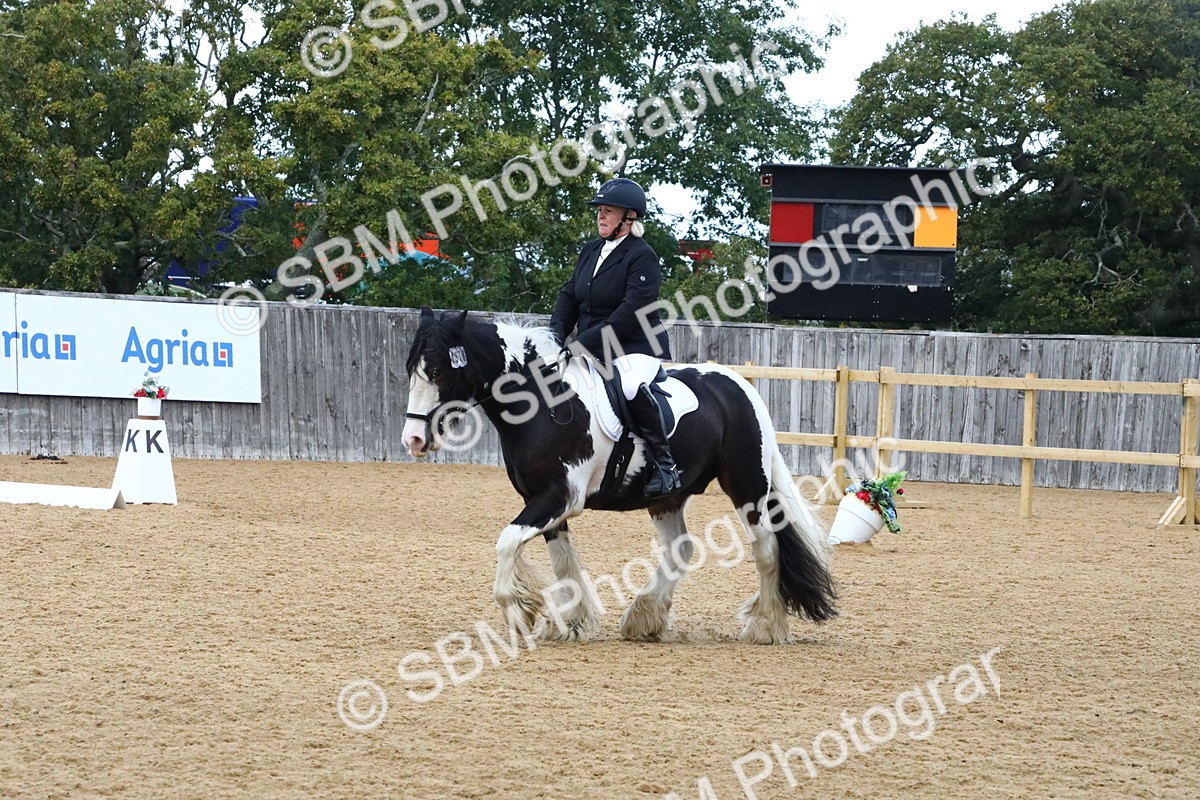 SBM_21034 - D5 - Small Tour Championshop Intro 2