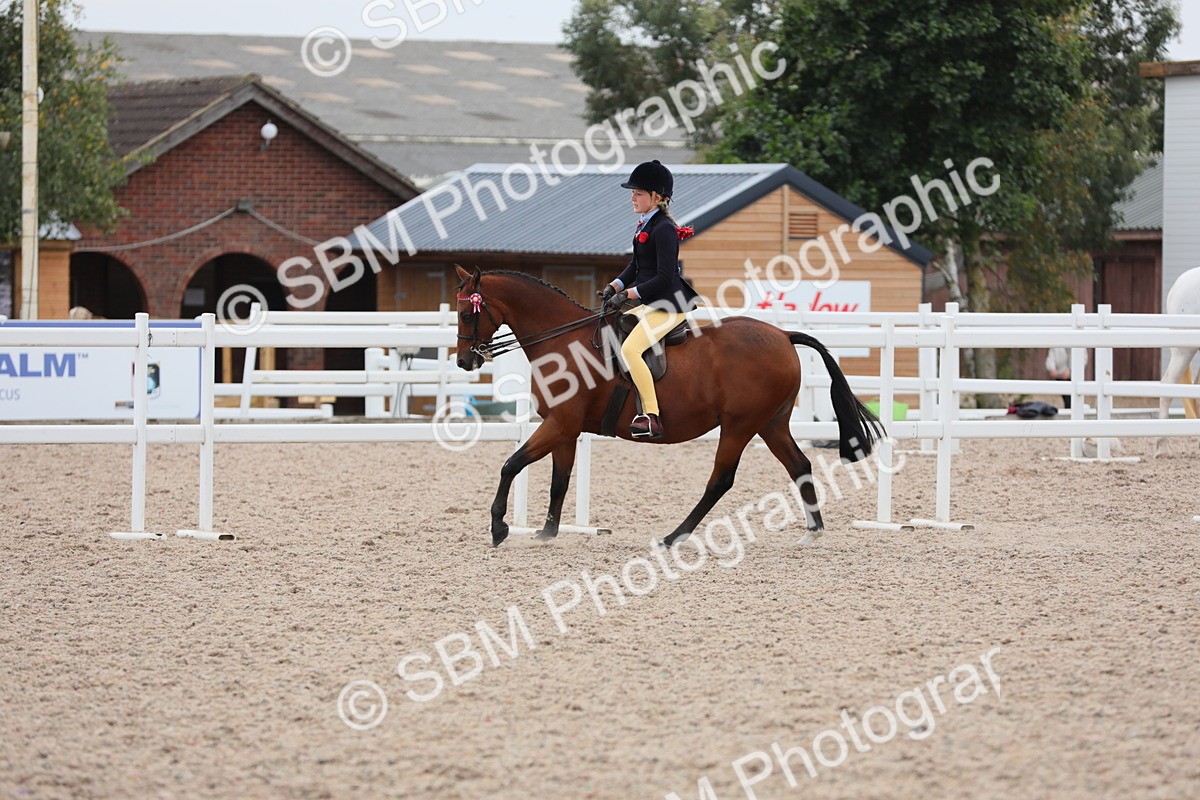 SBM_18095 - Class 316 Best Pony/Rider Combination