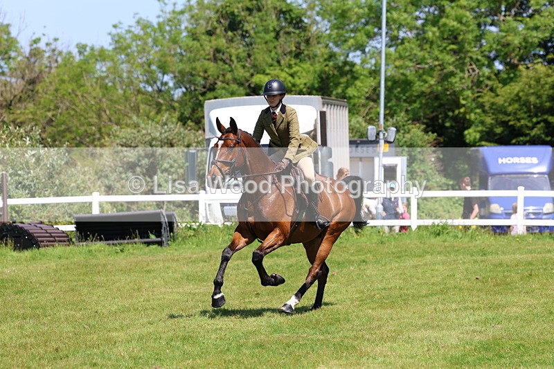 3E7A7287 - Class 30: Novice Working Hunter