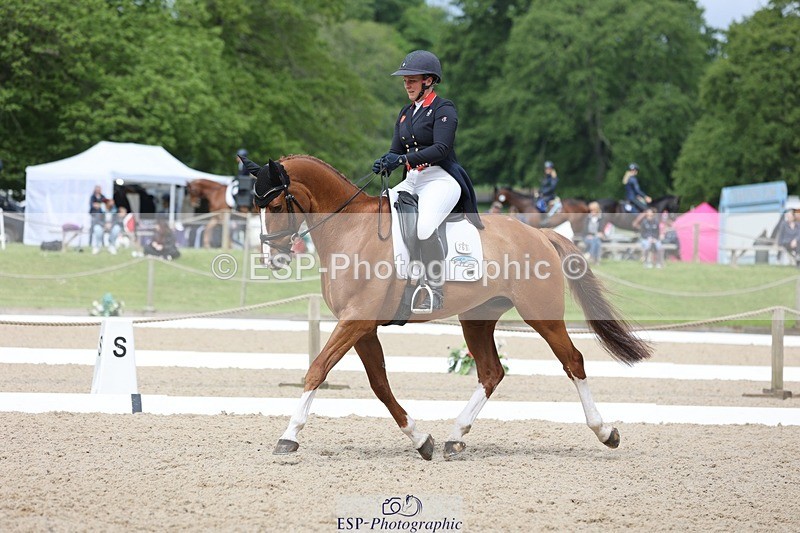 240524-103456-07444 - 263-CHILLI_MORNING_IV-Gemma_Stevens