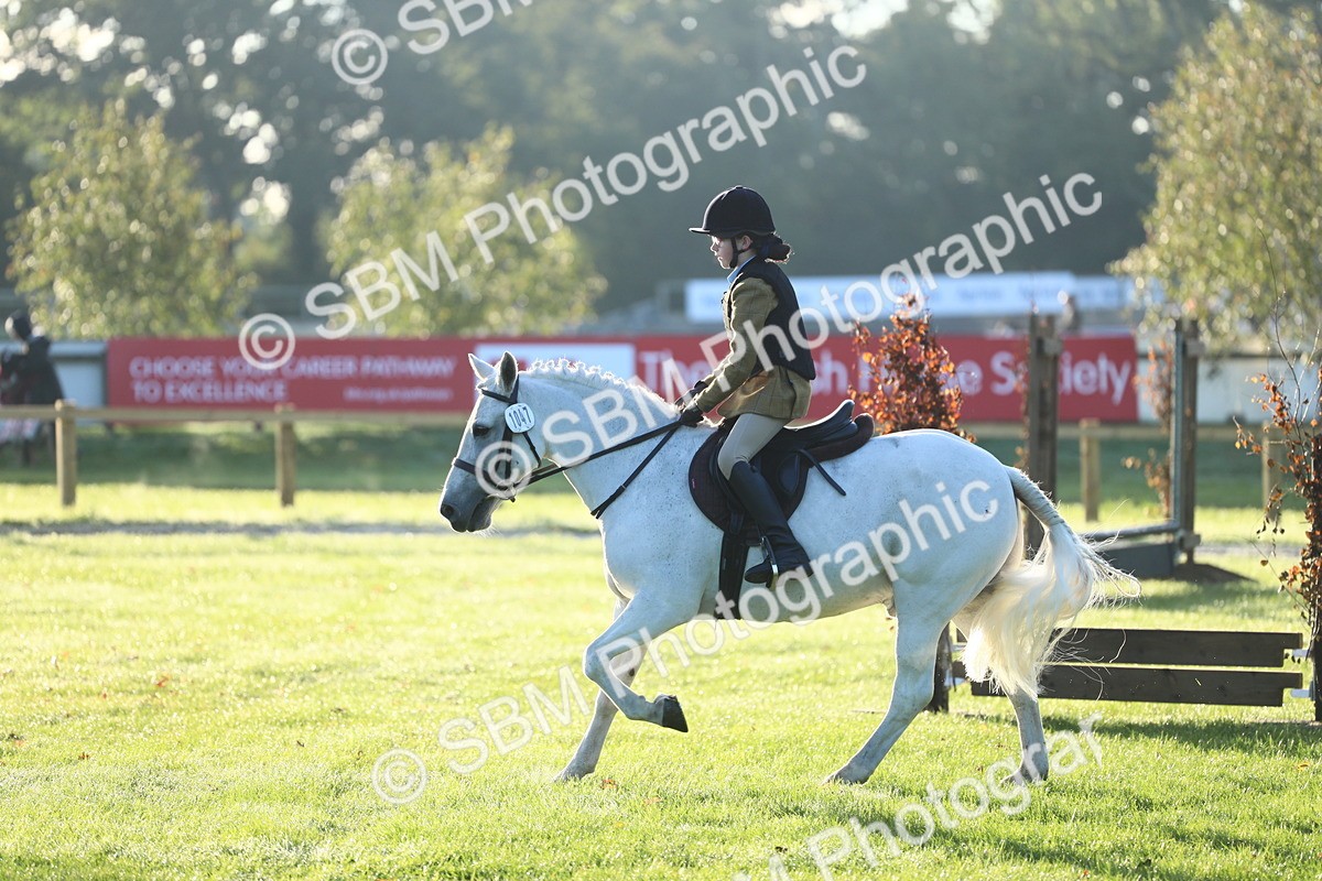 SBM_31730 - S28 - Nursery Stakes Working Hunter Pony