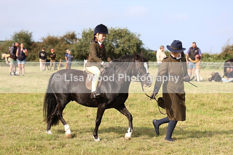 3E7A3721 - Class 2: Lead rein