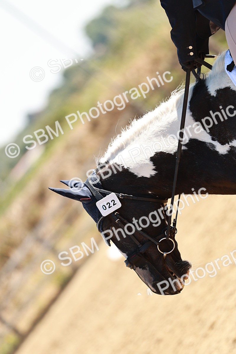 SBM_000816 - Class 12 - DR P1
