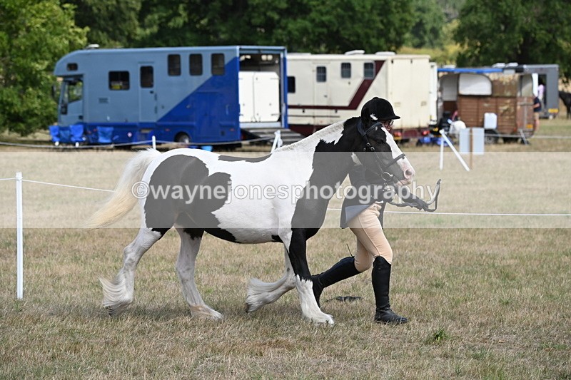 WJ6_6483 - Class 20 In-hand Cob