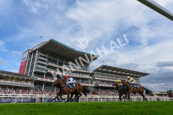 280723-Race 3-Loose Cannon-8785 - Race 3 6.05pm Ire-Incentive, It Pays To Buy Irish EBF Restricted Novice Stakes