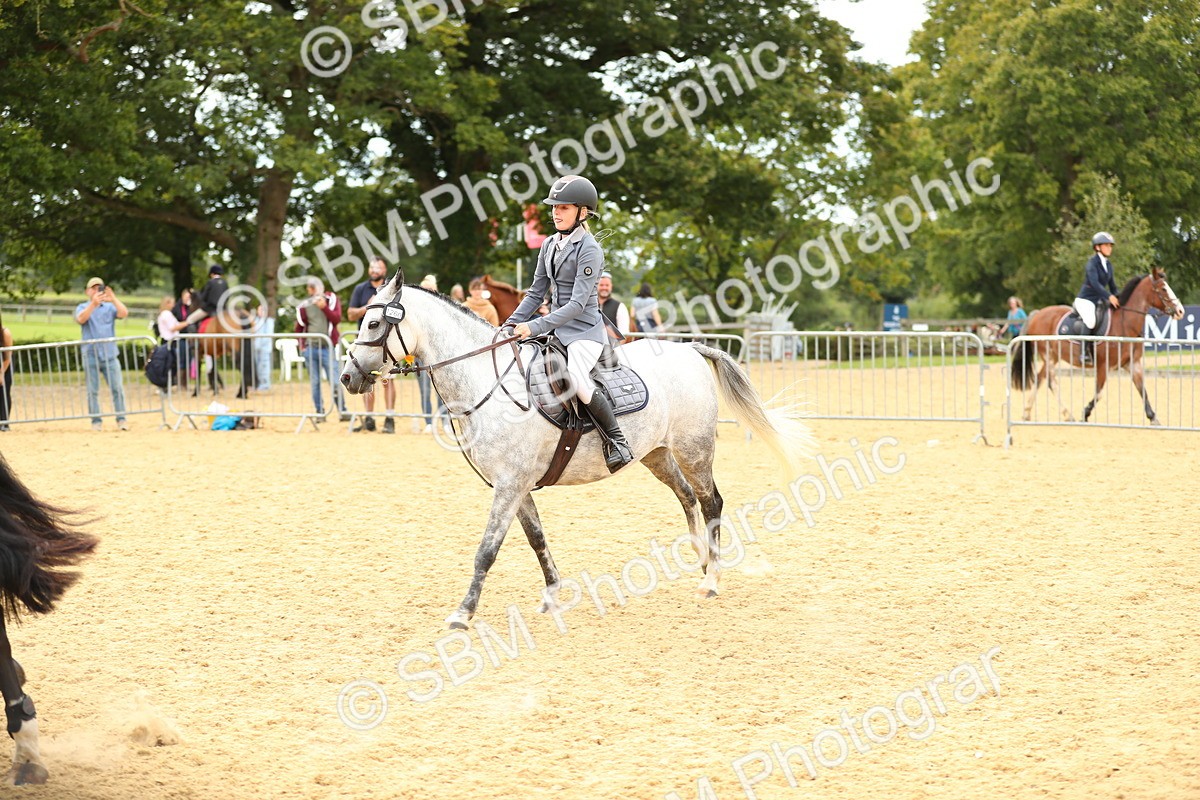 SBM_71362 - J18 - Junior Pony 85cm Championship
