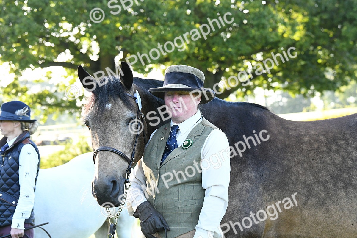SBM_32696 - S15 - Condition & Turnout In Hand