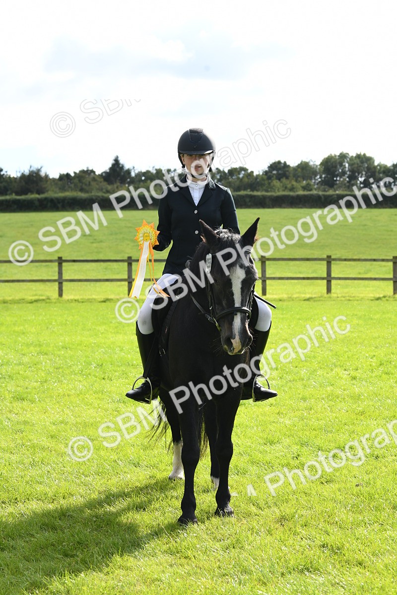 SBM_47252 - S12 - Family Horse & Pony