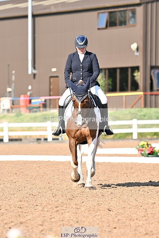 240816A-164847-06270 - 307-Rachel.Cook-Tiger.lily.vi