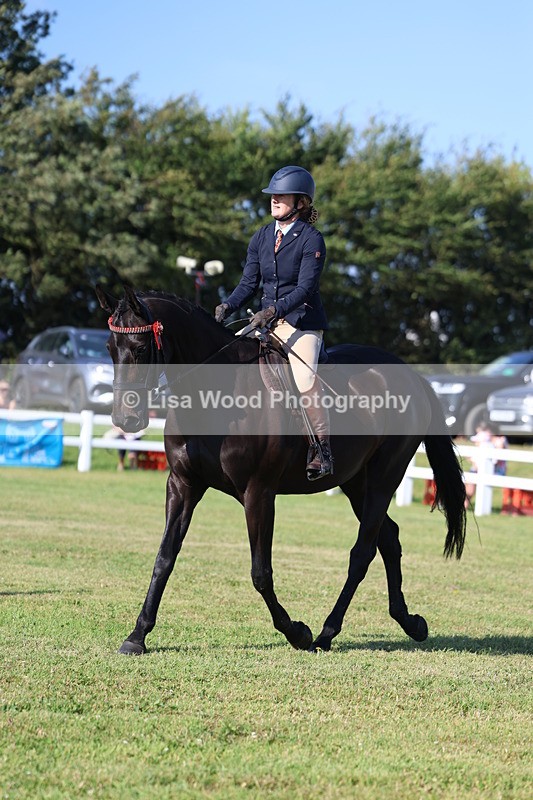 3E7A5605 - Class 2: Rising Star Large Hack/Riding Horse