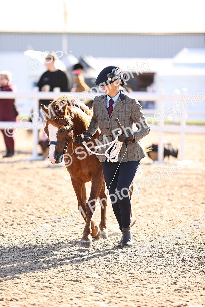 SBM_08485 - Class 402 - IH Veteran Pony