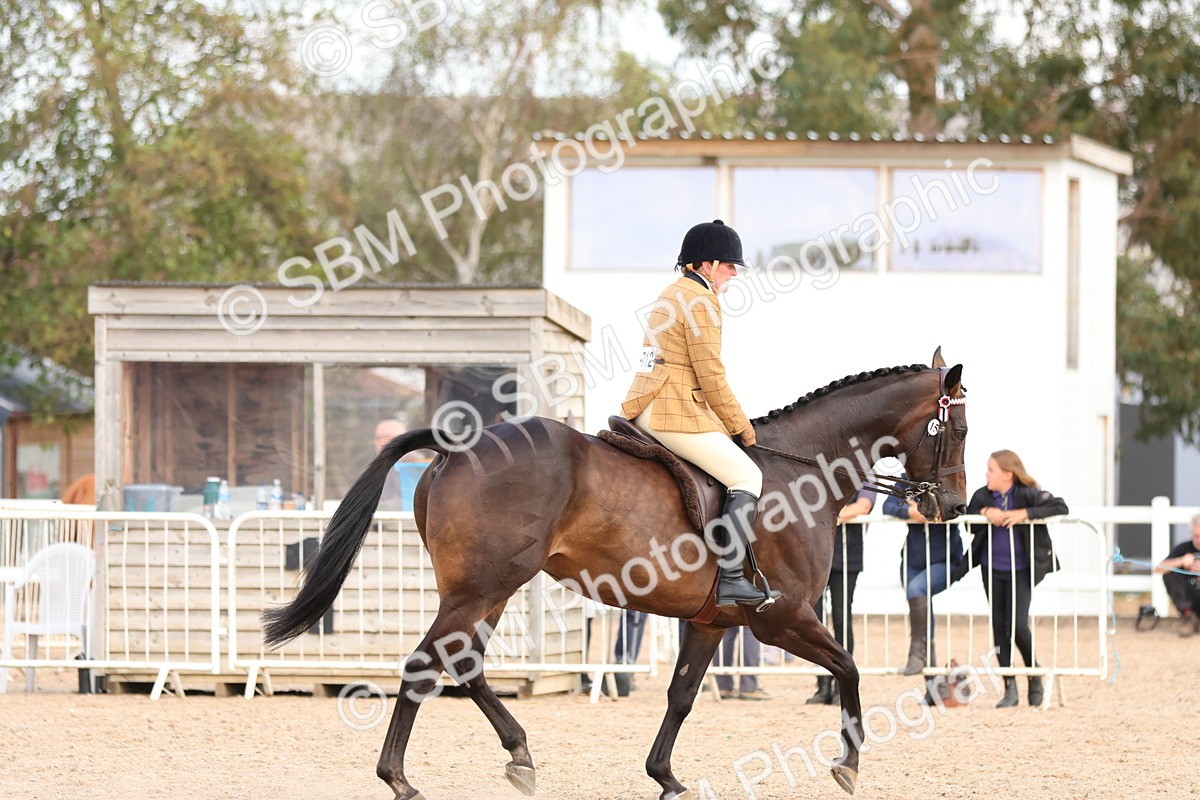 SBM_16271