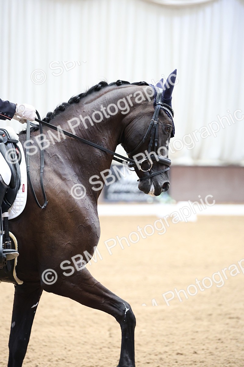 SBM_004484