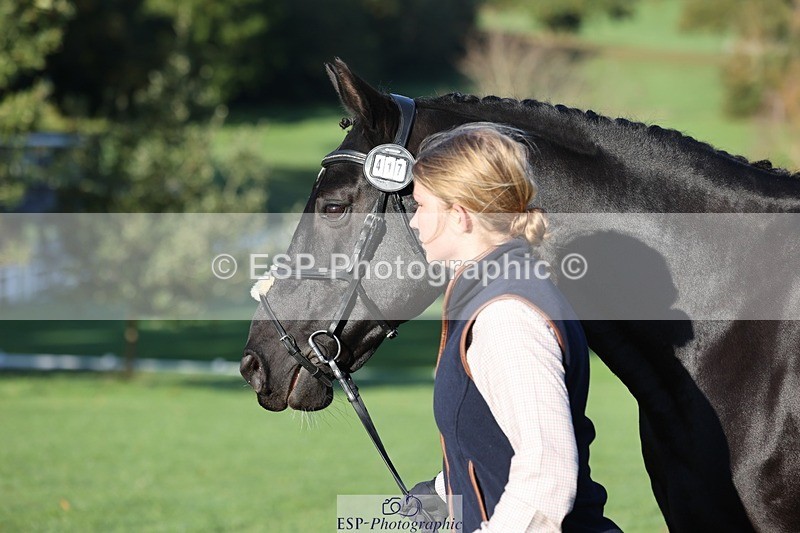 241027-090545-15029 - 417-Abigail.Brittain-CNC.FUTERMA