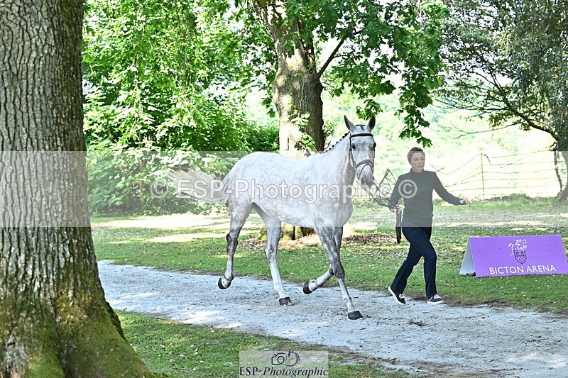 250521A-160441-00899 - C-253-Kirsty.Chabert-GLOBAL.EMPRESS