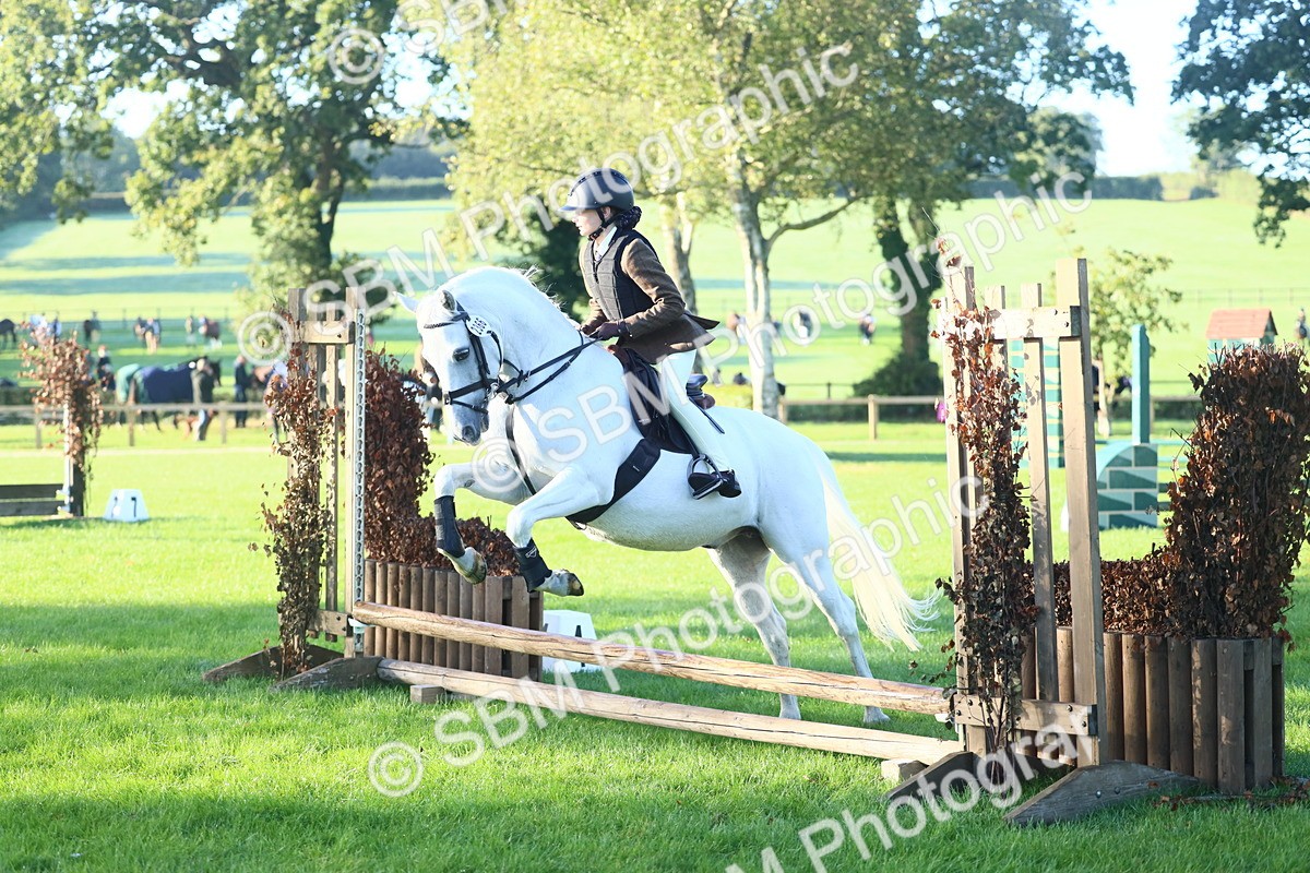 SBM_31954 - S28 - Nursery Stakes Working Hunter Pony