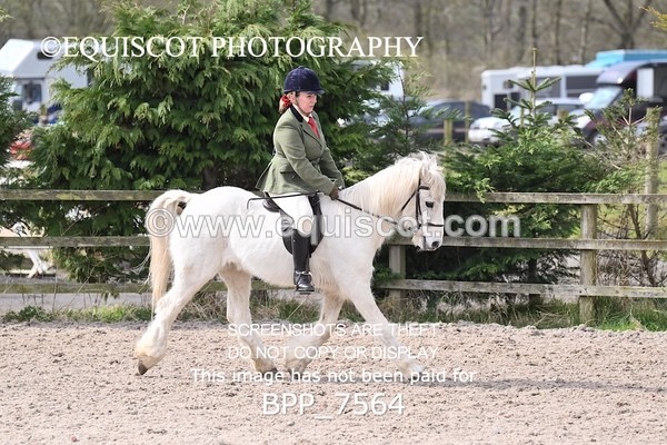 BPP_7564 - RING 1  (RIDDEN HORSES / IN HAND / VETERAN ETC)