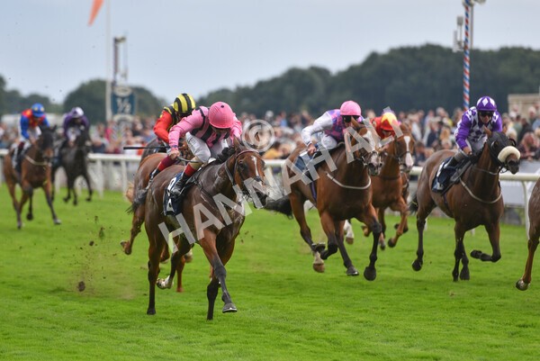 yr19082021r7-21 - Race 7 5.20pm British Stallion Studs EBF Fillies' Stakes