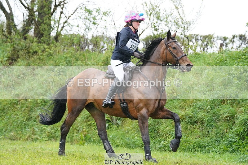 250418-122612-02596 - 080-Tichy.Sanders-SPARHANGER.VELVET